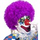 PELUCA PAYASO