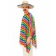 PONCHO + SOMBRERO MEXICANO